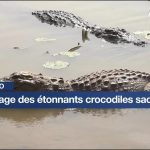 Découverte du Village de Bazoulé au Burkina Faso Découverte du Village de Bazoulé au Burkina Faso