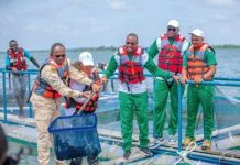 Avenir Prometteur de la Filière Poisson au Burkina Faso Avenir Prometteur de la Filière Poisson au Burkina Faso