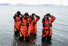 Biodiversité et Risque d’Extinction de Masse Biodiversité et Risque d'Extinction de Masse