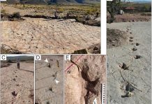 Un Site Bolivien Avec 16 000 Traces De Dinosaures Un Site Bolivien Avec 16 000 Traces De Dinosaures