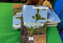 Bangaba Mathieu Savadogo Plaide pour l’Agriculture Durable Bangaba Mathieu Savadogo Plaide pour l'Agriculture Durable