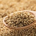 Burkina Exige Respect Prix Plancher Sésame à Léo Burkina Exige Respect Prix Plancher Sésame à Léo