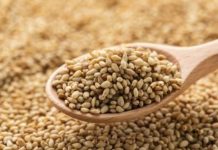 Burkina Exige Respect Prix Plancher Sésame à Léo Burkina Exige Respect Prix Plancher Sésame à Léo