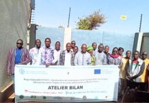 Bilan du Projet FAO sur Risques Alimentaires au Burkina Bilan du Projet FAO sur Risques Alimentaires au Burkina