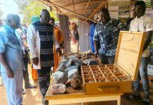 UFR/SVT de l’Université Joseph Ki-Zerbo Ouvre au Public UFR/SVT de l'Université Joseph Ki-Zerbo Ouvre au Public