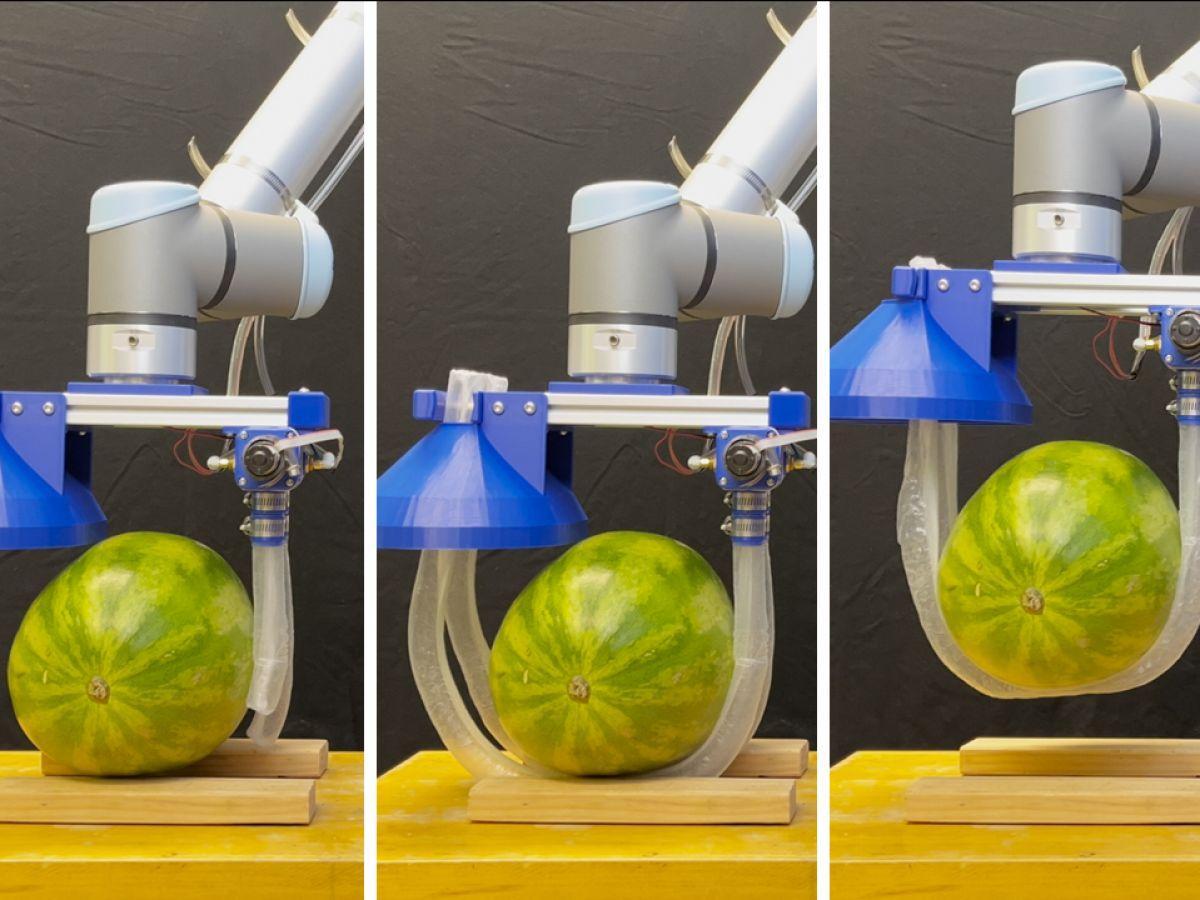 Robot Préhensile Inspiré des Plantes Grimpantes Robot Préhensile Inspiré des Plantes Grimpantes