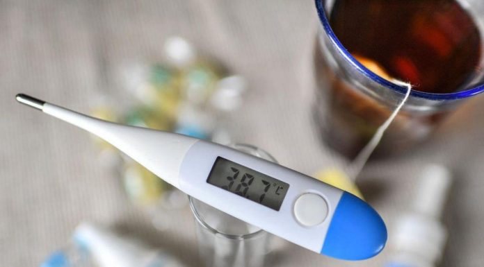 Virus de la Grippe Aviaire Résiste à la Fièvre Humaine Virus de la Grippe Aviaire Résiste à la Fièvre Humaine