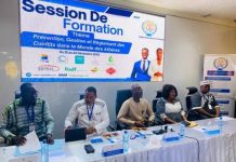 Gestion Pacifique des Conflits par Irenagie Gestion Pacifique des Conflits par Irenagie