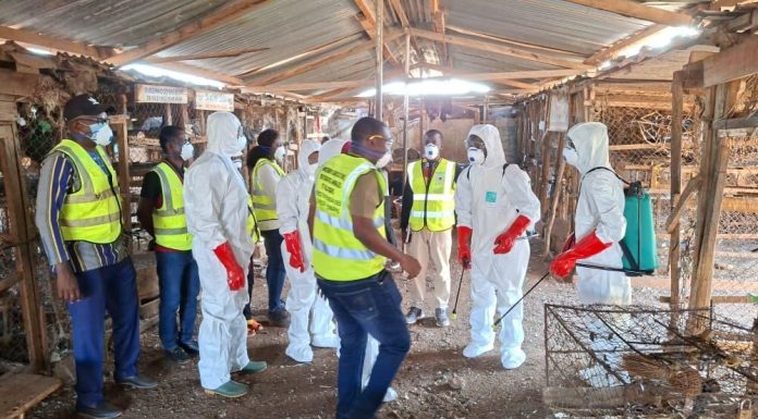 Dgsv Désinfecte Marchés De Volaille À Ouagadougou Dgsv Désinfecte Marchés De Volaille À Ouagadougou