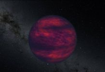 Planète géante et naine brune observées malgré l’éclat Planète géante et naine brune observées malgré l'éclat