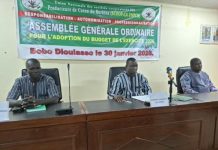 Bobo-Dioulasso Coton Producteurs Préparent 2026 Bobo-Dioulasso Coton Producteurs Préparent 2026