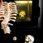 Impression 3D Pour Une Médecine De Précision Impression 3D Pour Une Médecine De Précision