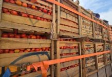 Lutte Contre La Fraude: Saisie De Produits Alimentaires Lutte Contre La Fraude: Saisie De Produits Alimentaires