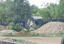 Plantes Contre Pollution au Mercure dans les Mines Plantes Contre Pollution au Mercure dans les Mines