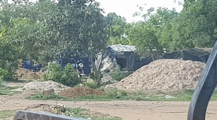 Plantes Contre Pollution au Mercure dans les Mines Plantes Contre Pollution au Mercure dans les Mines