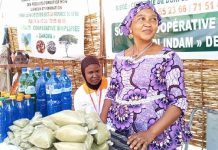 Dori Foire PFNL Met en Lumière Potentiel Économique Dori Foire PFNL Met en Lumière Potentiel Économique