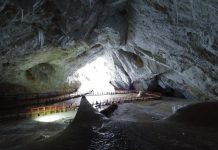 Bactérie de 5000 ans résiste aux antibiotiques modernes Bactérie de 5000 ans résiste aux antibiotiques modernes