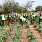 Autosuffisance Alimentaire à Yako: Succès Technique Autosuffisance Alimentaire à Yako: Succès Technique