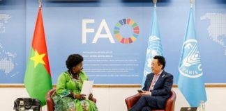 Coopération Burkina-FAO Renforcement du Partenariat Coopération Burkina-FAO Renforcement du Partenariat