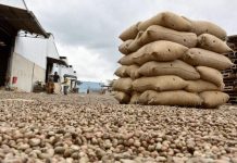 Création de l’ABIPEX pour Attirer Investissements et Exportations Création de l'ABIPEX pour Attirer Investissements et Exportations