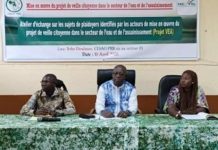 Burkina Projet VEA: Échanges sur Plaidoyers Identifiés Burkina Projet VEA: Échanges sur Plaidoyers Identifiés
