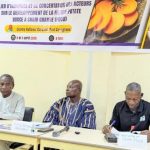 Développement Durable de la Filière PDCO au Burkina Faso Développement Durable de la Filière PDCO au Burkina Faso