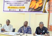 Développement Durable de la Filière PDCO au Burkina Faso Développement Durable de la Filière PDCO au Burkina Faso