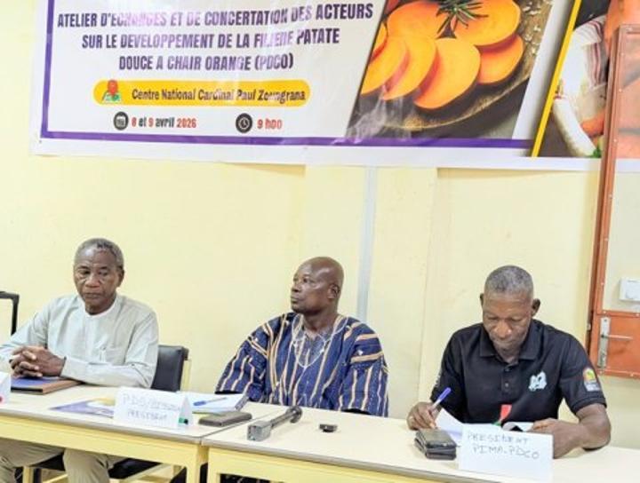 Développement Durable de la Filière PDCO au Burkina Faso Développement Durable de la Filière PDCO au Burkina Faso