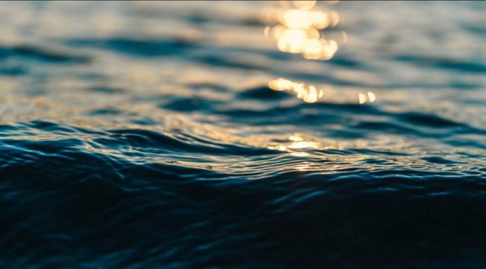 Circulation Océanique Pourrait Diminuer de Moitié d’Ici 2100 Circulation Océanique Pourrait Diminuer de Moitié d'Ici 2100