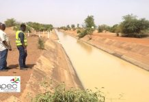 Approvisionnement en Tomates Fraîches à Nakambé Approvisionnement en Tomates Fraîches à Nakambé
