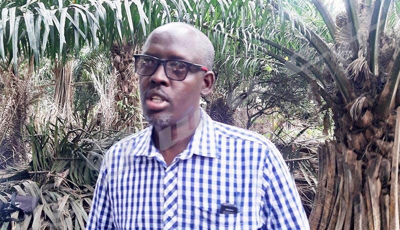 Christian Nimubona : « En 12 ans, la production de l’huile de palme a doublé »