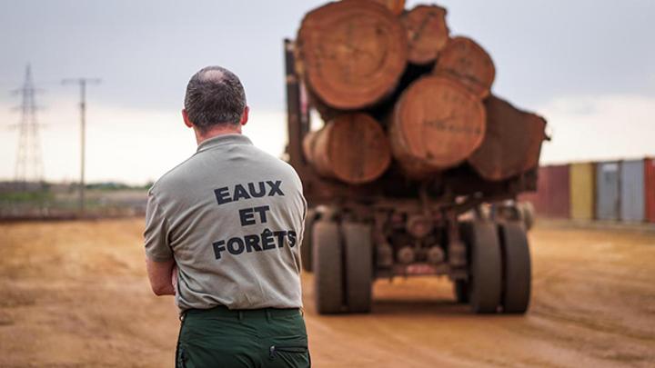 Fiscalité et certification forestières : les grumes bientôt interdites d’exportation dans le Bassin du Congo Fiscalité et certification forestières : les grumes bientôt interdites d’exportation dans le Bassin du Congo