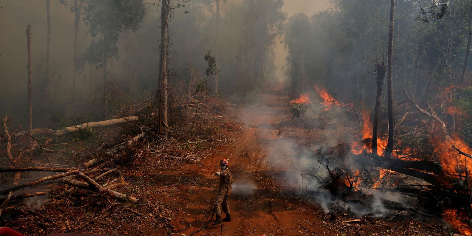 Brésil: pourquoi la forêt amazonienne part toujours plus en fumée Brésil: pourquoi la forêt amazonienne part toujours plus en fumée