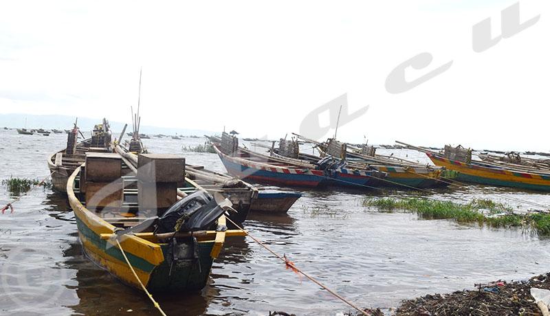 UE/LATAFIMA : Eradiquer la pêche illicite pour augmenter la production des poissons UE/LATAFIMA : Eradiquer la pêche illicite pour augmenter la production des poissons