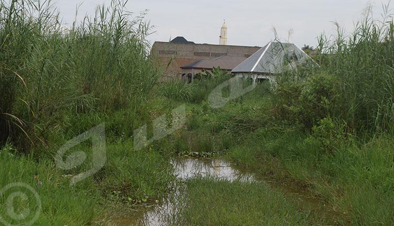 Kanyosha : Un hippopotame menace la population Kanyosha : Un hippopotame menace la population