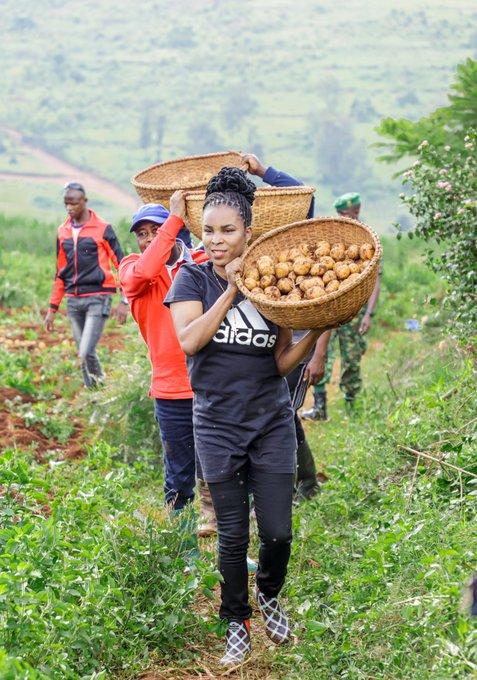 Le Président Ndayishimiye entend promouvoir une agriculture intégrée Le Président Ndayishimiye entend promouvoir une agriculture intégrée