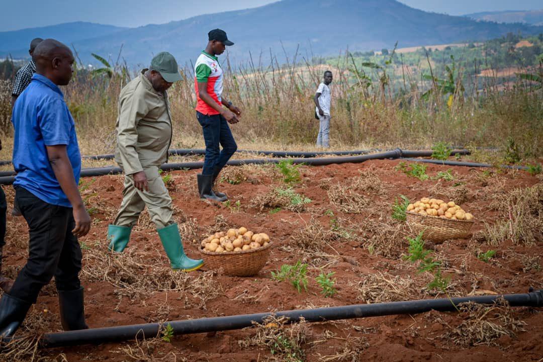 Ndayishimiye au centre agro-pastoral modèle de Bugendana, Gitega Ndayishimiye au centre agro-pastoral modèle de Bugendana, Gitega