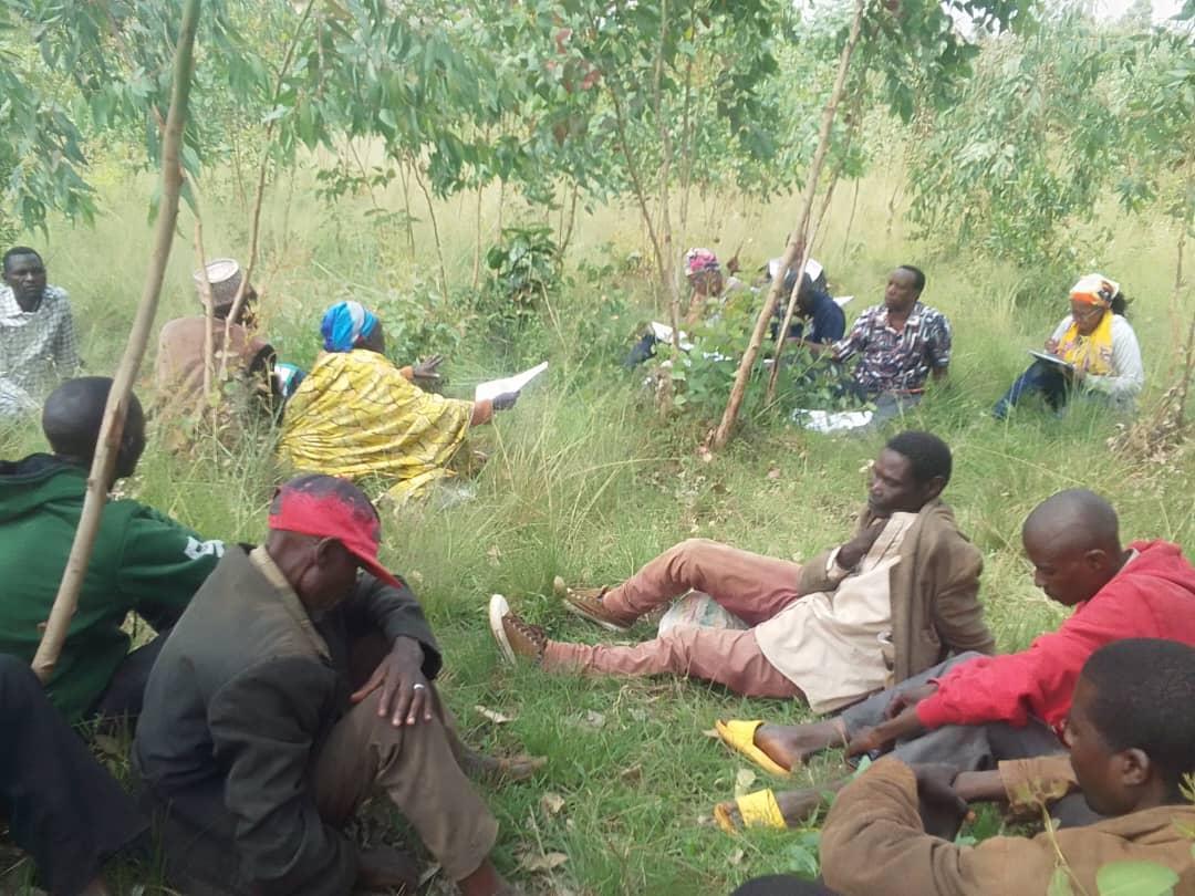 La CSTB Met Fin aux Conflits Fonciers en Commune Gasorwe, à Muyinga La CSTB Met Fin aux Conflits Fonciers en Commune Gasorwe, à Muyinga