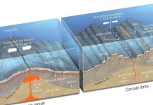 Le Plancher Océanique Révèle Ses Secrets de Fabrication Le Plancher Océanique Révèle Ses Secrets de Fabrication
