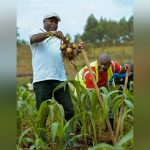 Ndayishimiye Soutient les Initiatives des Entrepreneurs Ndayishimiye Soutient les Initiatives des Entrepreneurs