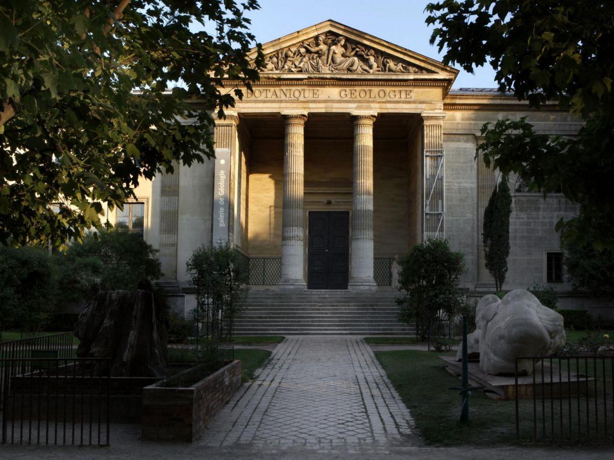 Perte Inestimable de Spécimens D’Or À Paris Perte Inestimable de Spécimens D’Or À Paris