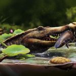 Ancien Crocodile Marin Découvert dans le Désert Égyptien Ancien Crocodile Marin Découvert dans le Désert Égyptien