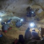 S’Adapter ou Disparaître dans le Régime Alimentaire S’Adapter ou Disparaître dans le Régime Alimentaire