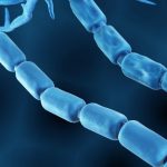 Sclérose en Plaques: Autogreffe Reconstitue Immunité Sclérose en Plaques: Autogreffe Reconstitue Immunité