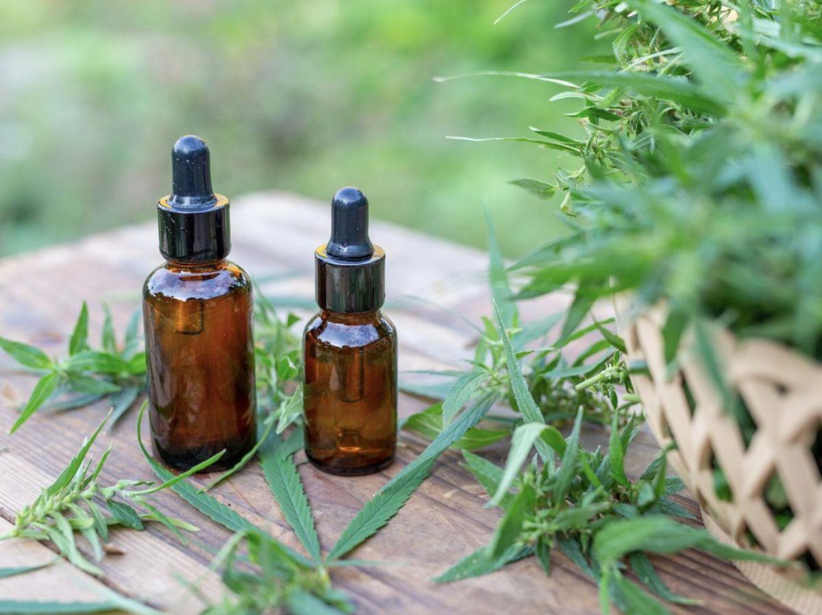 CBD entre Science et Bien-Être sur le Marché Français CBD entre Science et Bien-Être sur le Marché Français