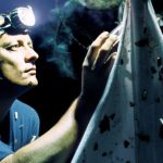 Insectes: Sources de leur Déclin Vertigineux Insectes: Sources de leur Déclin Vertigineux