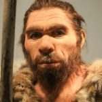 Nez de Néandertal Plus Adapté au Froid que Sapiens Nez de Néandertal Plus Adapté au Froid que Sapiens