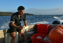 Traque High-Tech des Requins en Australie Traque High-Tech des Requins en Australie