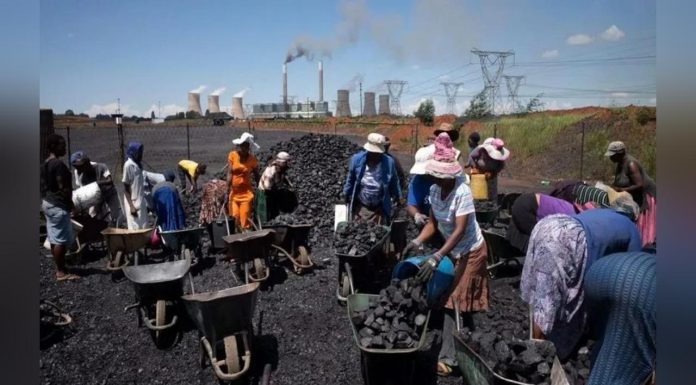 Le Marché Africain du Carbone: Potentiel et Contraintes Le Marché Africain du Carbone: Potentiel et Contraintes