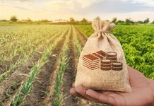 La Terre Africaine sous le Poids des Capitaux La Terre Africaine sous le Poids des Capitaux